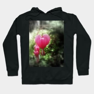 red bleeding hearts #10 Hoodie